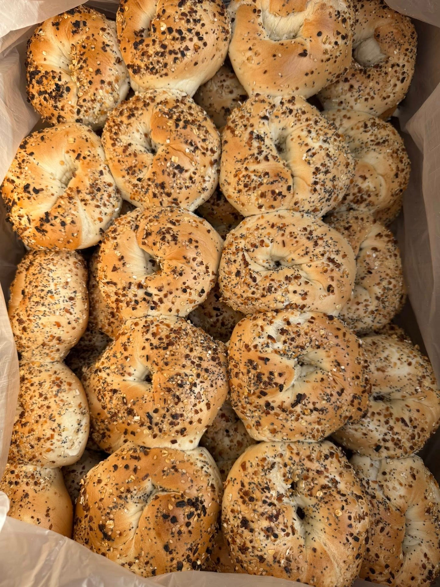 1 Dozen Bagels